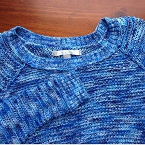 LC Blue Sweater